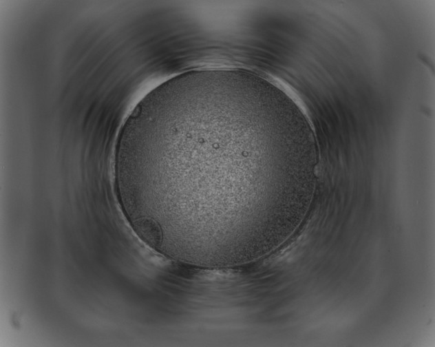 X0000091721195200709071429