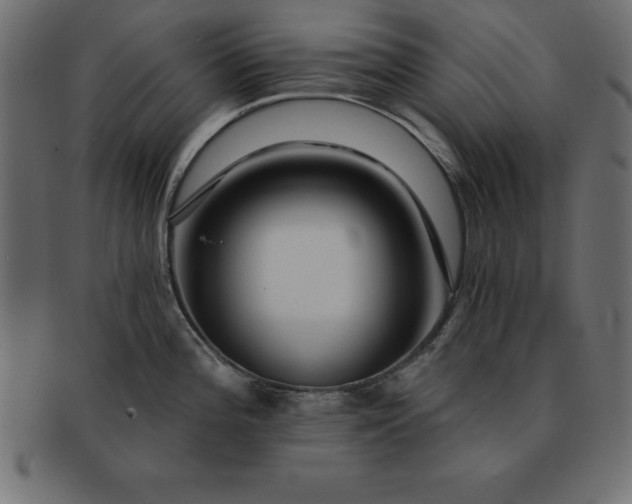 X0000091721196200709071429