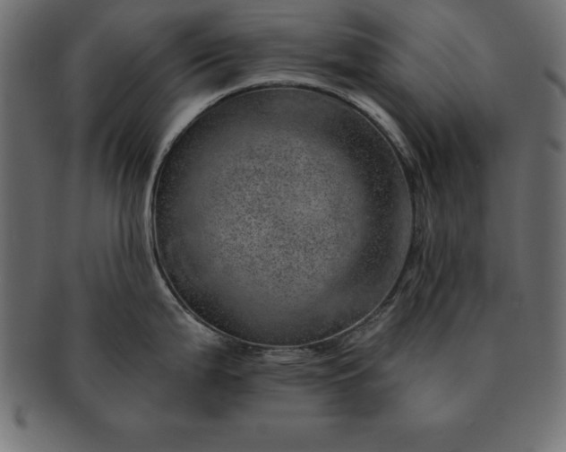 X0000091721199200709071428