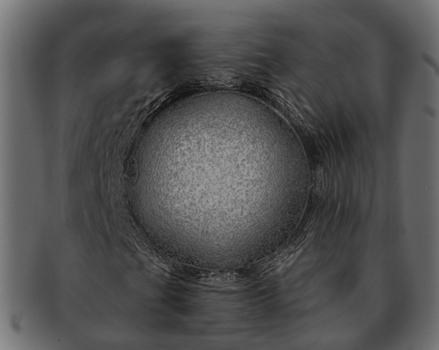 X0000091721201200709071428