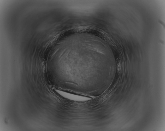 X0000091721204200709071428