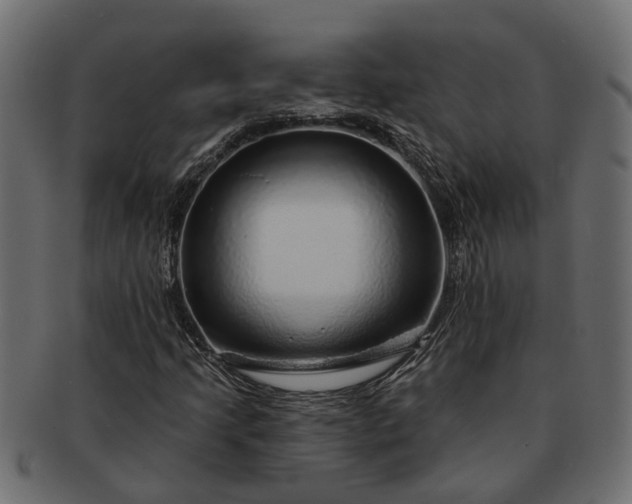 X0000091721205200709071428