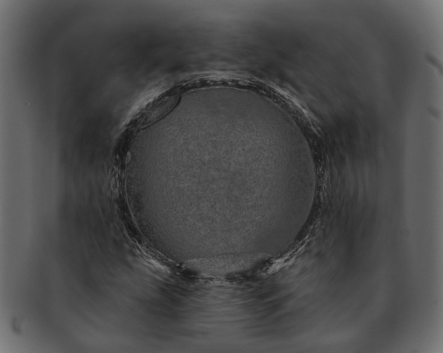 X0000091721207200709071428