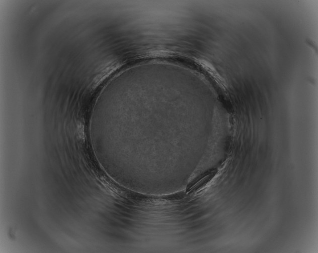 X0000091721209200709071428