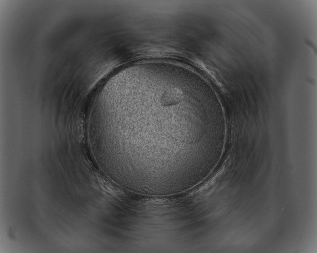 X0000091721211200709071428