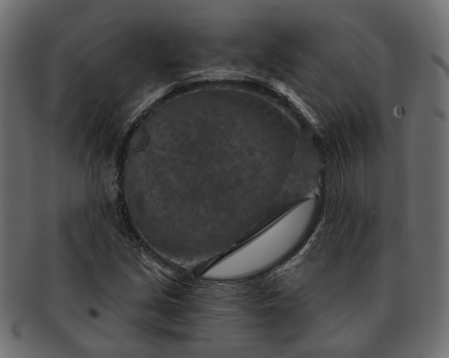 X0000091721213200709071428