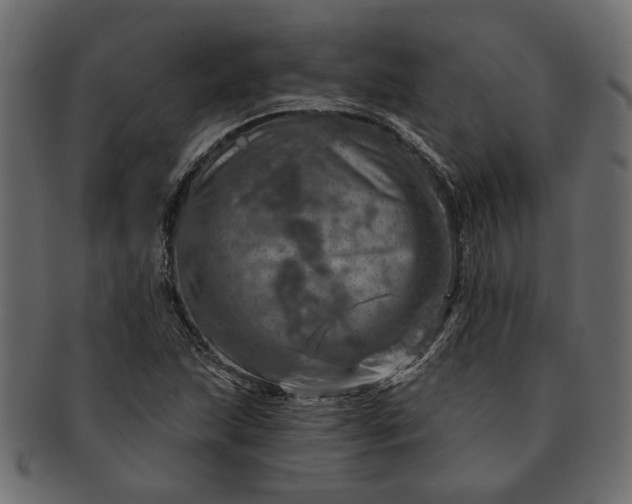 X0000091721215200709071428