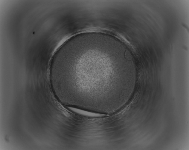 X0000091721216200709071428