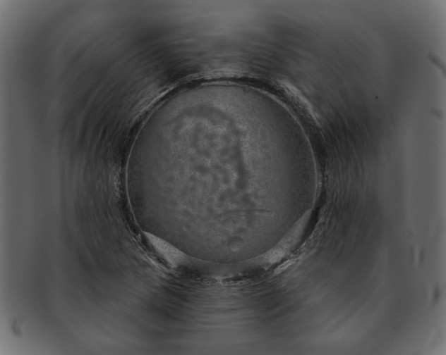 X0000091721217200709071428