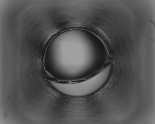 X0000091721218200709071428