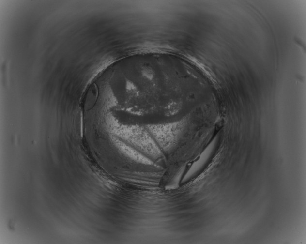 X0000091721219200709071428