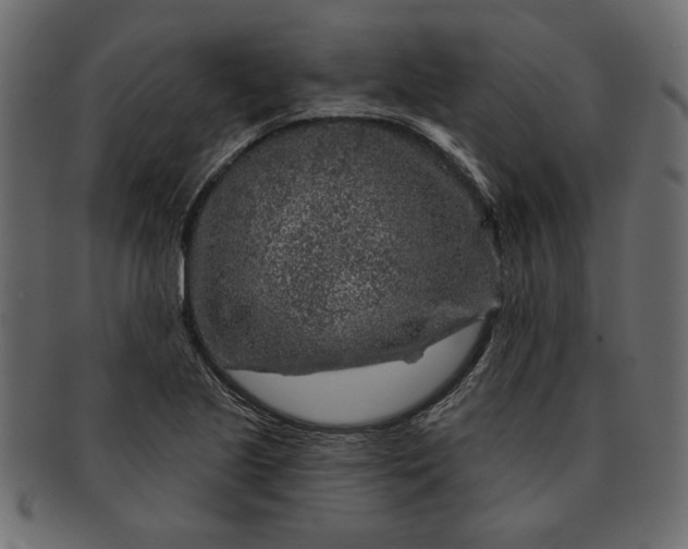 X0000091721221200709071428