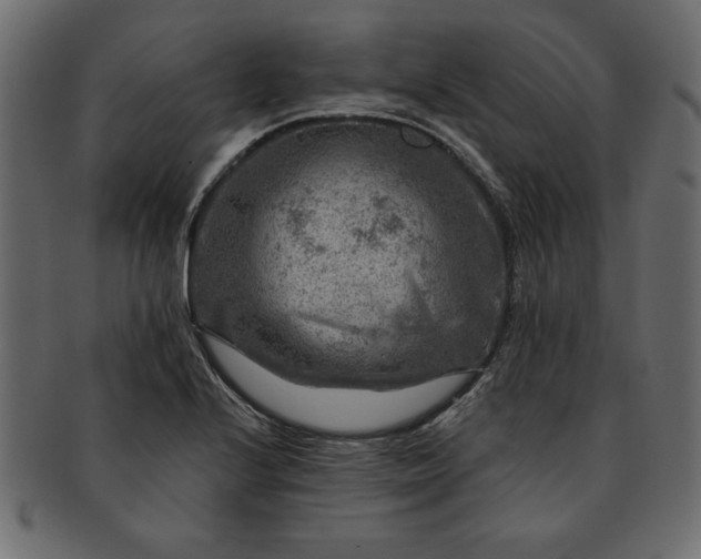 X0000091721224200709071428