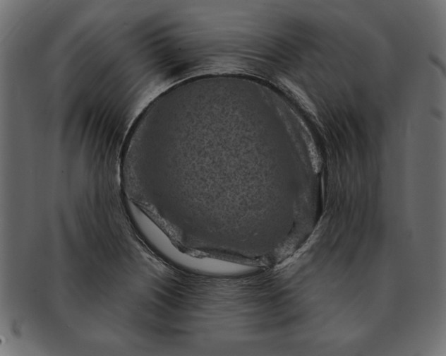 X0000091721226200709071428