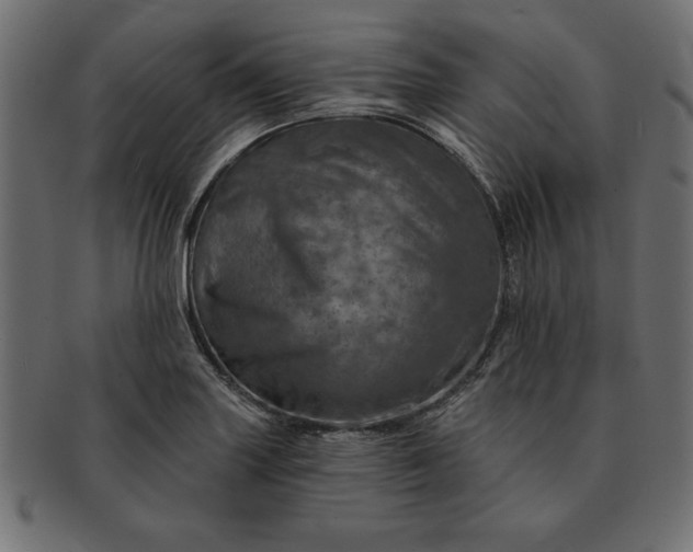 X0000091721227200709071428