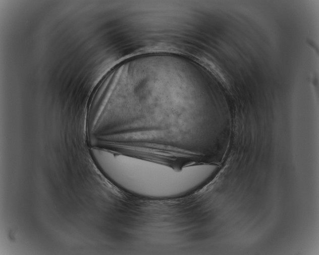 X0000091721228200709071428