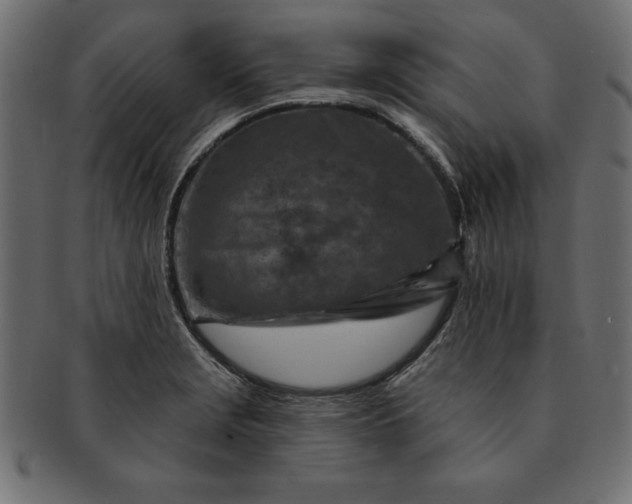 X0000091721229200709071428