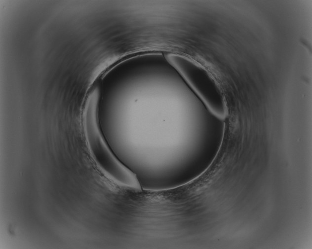 X0000091721230200709071428