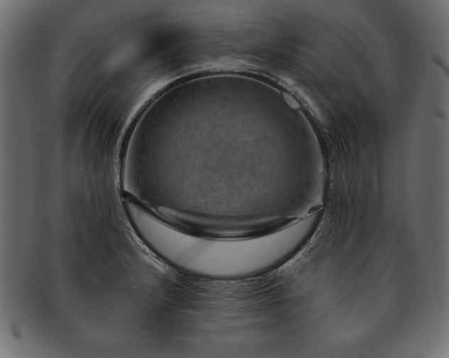 X0000091721232200709071428