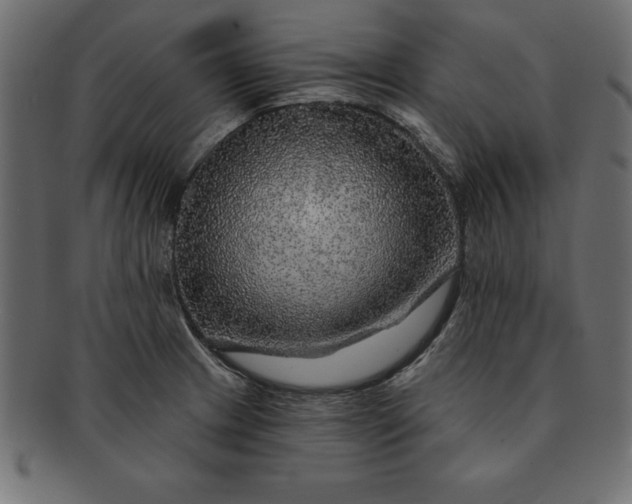 X0000091721233200709071428