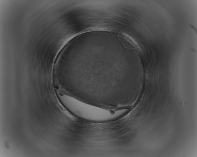 X0000091721236200709071428