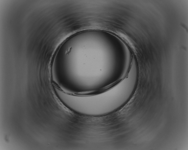 X0000091721238200709071428