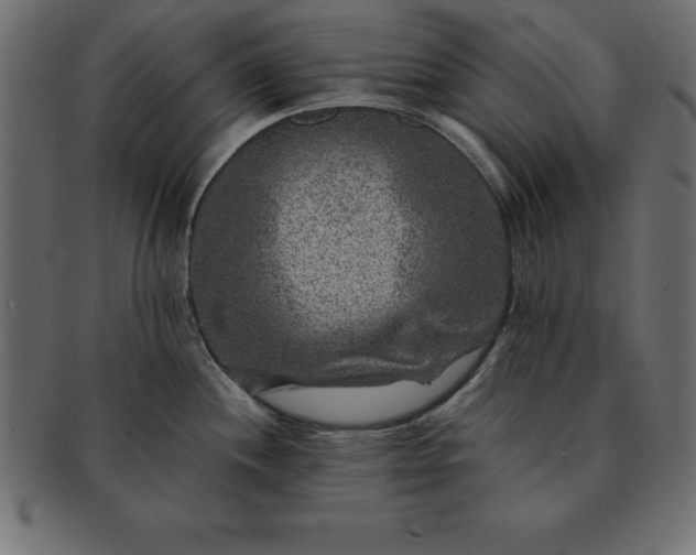 X0000091721244200709071428