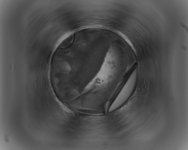 X0000091721245200709071428