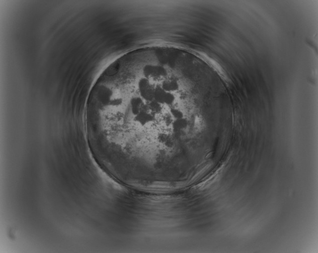 X0000091721247200709071428