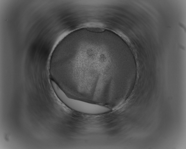 X0000091721248200709071428