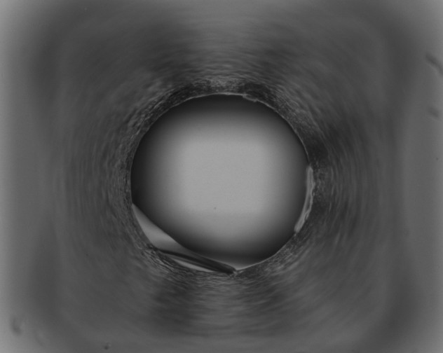 X0000091721249200709071428