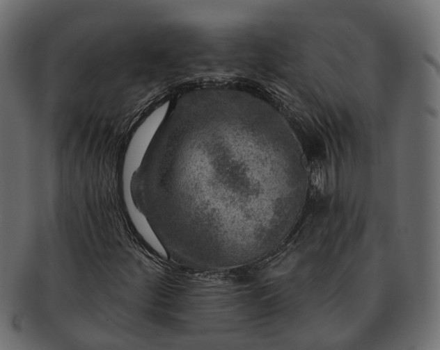 X0000091721252200709071428