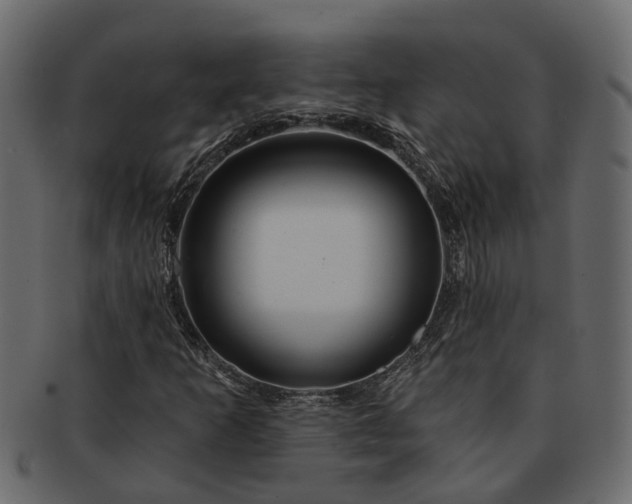 X0000091721253200709071428