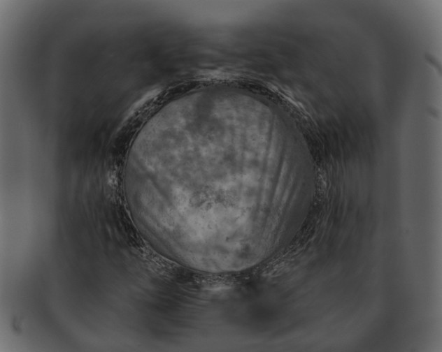 X0000091721254200709071428