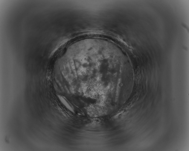 X0000091721255200709071428