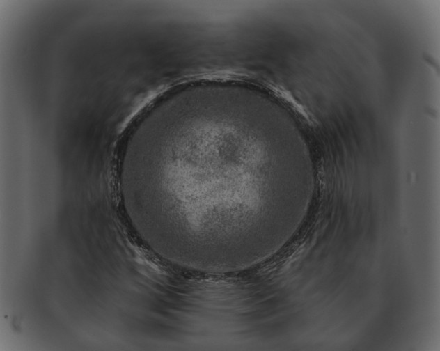 X0000091721256200709071428