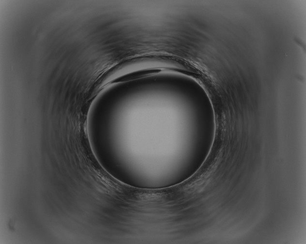 X0000091721257200709071428