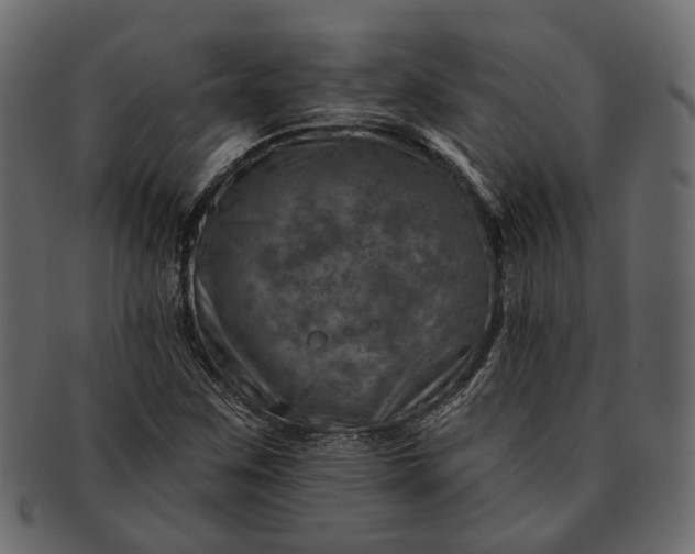 X0000091721259200709071427