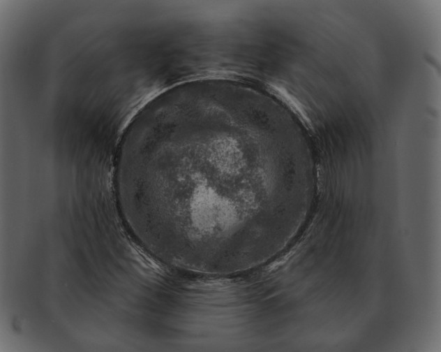 X0000091721260200709071427