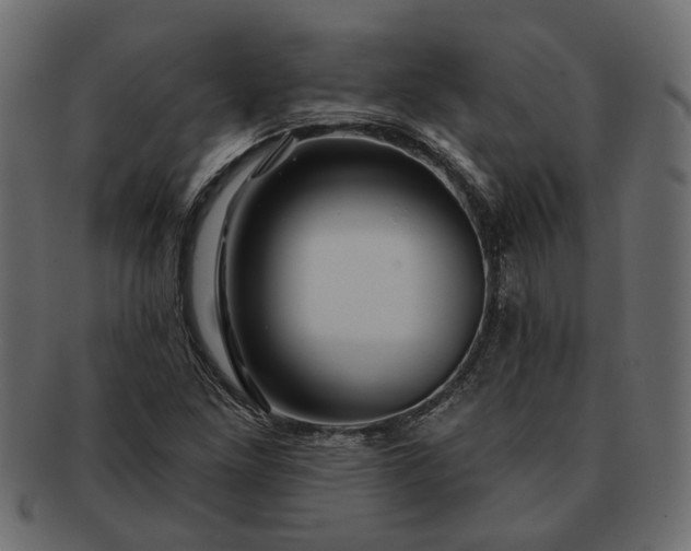 X0000091721261200709071427