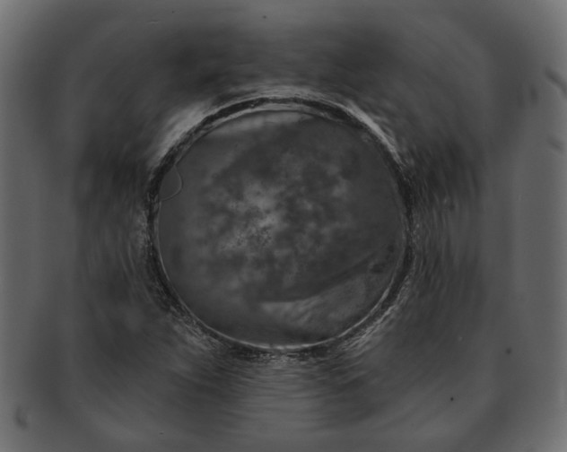 X0000091721263200709071427