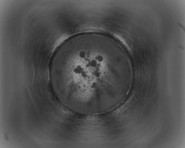 X0000091721267200709071427