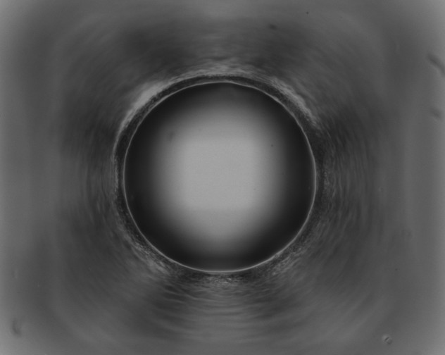 X0000091721270200709071427