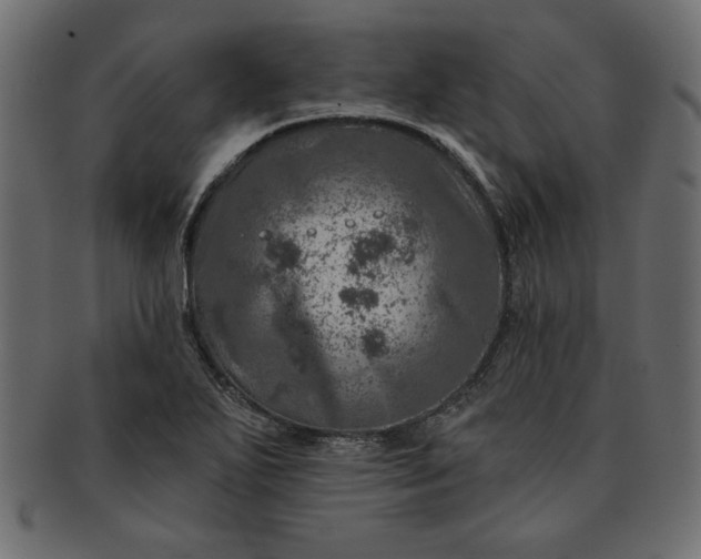 X0000091721271200709071427