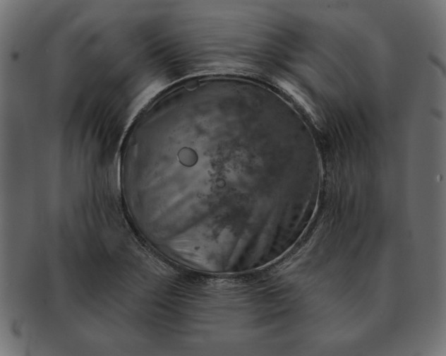 X0000091721275200709071427