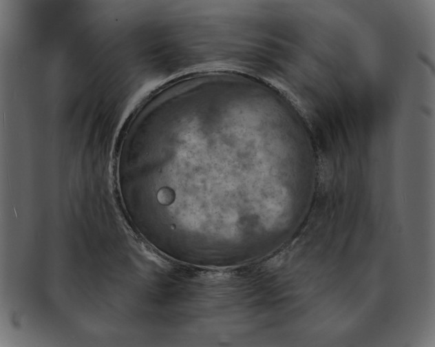 X0000091721278200709071427