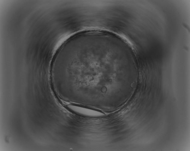 X0000091721279200709071427