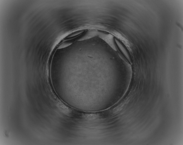 X0000091721280200709071427