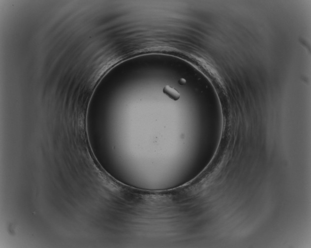 X0000091721281200709071427