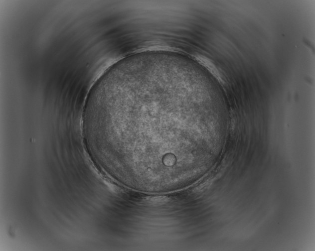 X0000091721282200709071427